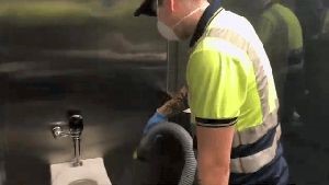 Electrostatic Spraying Services Bradbury Ca