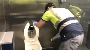 Disinfection Disinfection Dana Point Ca