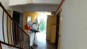 Electrostatic Disinfection Services Calimesa Ca