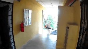 Electrostatic Spraying Services West Hollywood Ca