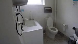 Disinfection Service Avalon Ca