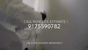 Covid Cleaning Services Industry Ca