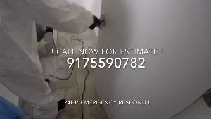 Covid Cleaning Services Lomita Ca