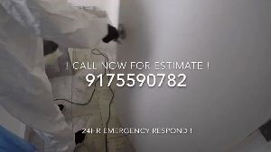 Sterilization and Disinfection Placentia Ca