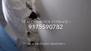 Disinfection Service Downey Ca