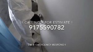 Disinfection Service Temecula Ca