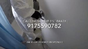 Disinfection Disinfection La Quinta Ca