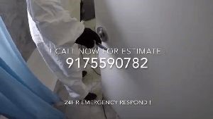 Disinfection Service Pasadena Ca