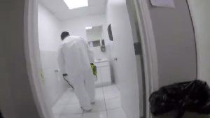 Disinfection Service