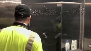 Disinfection Disinfection Redlands Ca