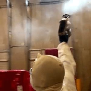 Disinfection and Sanitation Services Upland Ca