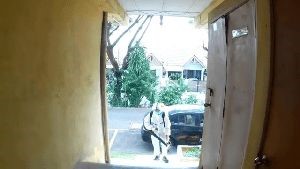 Disinfecting and Cleaning Companies Duarte Ca