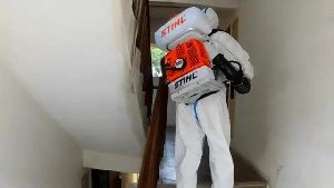 Disinfecting Services Avalon Ca