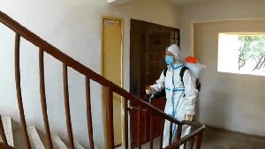 Disinfection Cleaning Company Avalon Ca