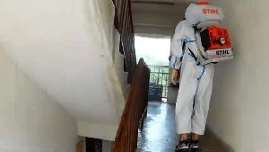 Covid Cleaning Company Laguna Beach Ca