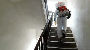 Fogging Services Palos Verdes Estates Ca