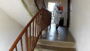 Disinfection Companies Big Bear Lake Ca