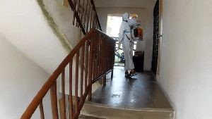 Disinfectant Company Big Bear Lake Ca