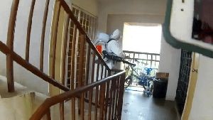 Disinfecting Cleaning Company Lake Forest Ca