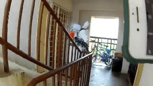 Disinfecting Cleaning Company Lake Arrowhead Ca