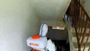 Fogging Services Big Bear City Ca