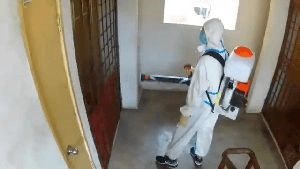 Disinfection Companies Palos Verdes Estates Ca