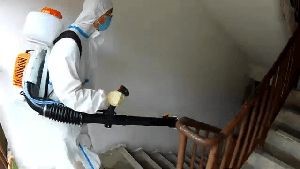 Disinfecting Companies San Fernando Ca