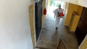 Disinfection Company San Fernando Ca