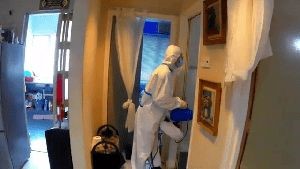 Disinfectant Company Culver City Ca