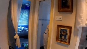 Disinfectant Company Diamond Bar Ca