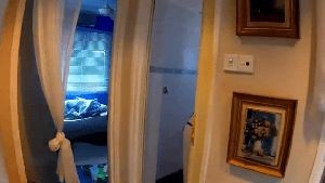 Disinfecting Company Diamond Bar Ca