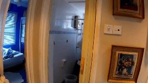 Disinfection Cleaning Company Foothill Ranch Ca