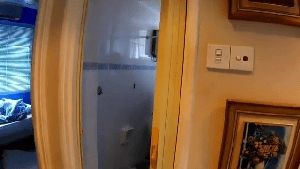 Disinfection Company Forest Falls Ca