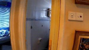 Disinfectant Company Forest Falls Ca