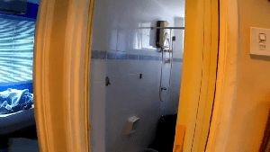 Disinfecting Company Forest Falls Ca