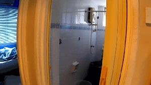 Disinfecting Cleaning Company Forest Falls Ca