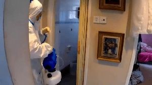 Disinfection Company Joshua Tree Ca