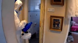 Disinfectant Company Joshua Tree Ca