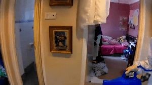 Disinfection Cleaning Company Ladera Ranch Ca