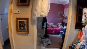 Disinfection Company Loma Linda Ca