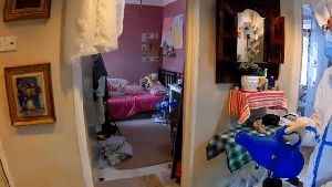 Disinfection Company Manhattan Beach Ca