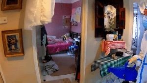 Disinfectant Company Manhattan Beach Ca