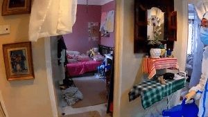 Disinfecting Company Manhattan Beach Ca