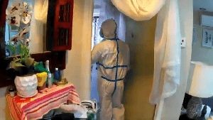 Disinfectant Companies Culver City Ca