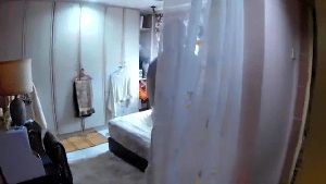 Disinfection Companies Forest Falls Ca