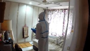 Disinfectant Companies Hawaiian Gardens Ca