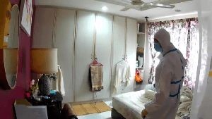 Disinfectant Companies Joshua Tree Ca