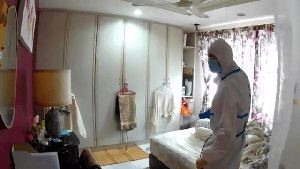 Disinfecting Companies Joshua Tree Ca