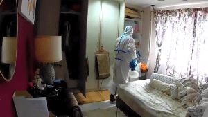 Disinfecting Companies Quail Valley Ca