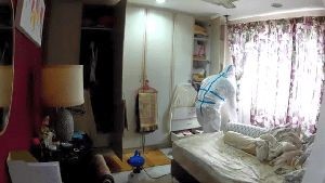 Disinfectant Companies Sierra Madre Ca